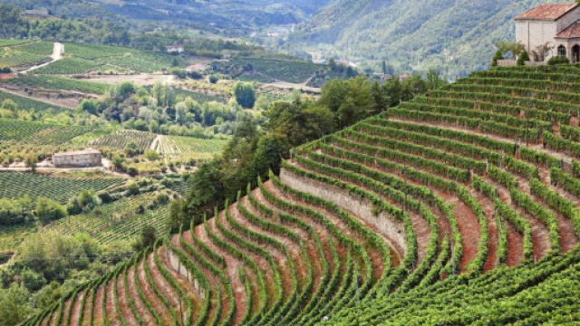 I vincitori del Concorso internazionale Vini di Montagna, 2015 ... - saporie.com