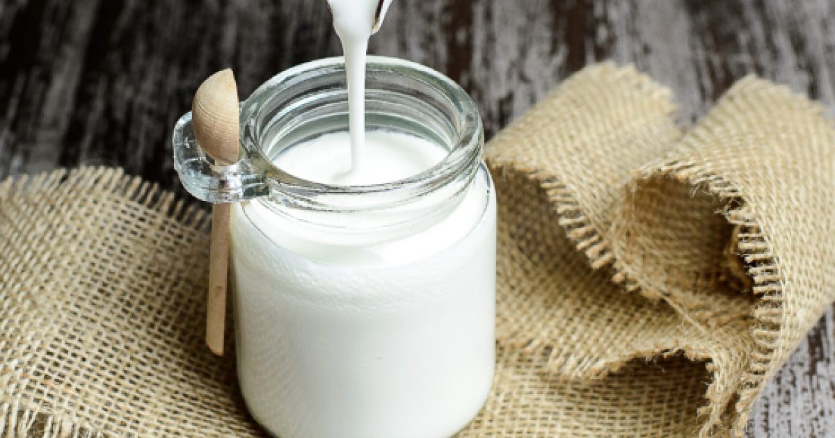 Lo Yogurt Fa Male Al Fegato Microbiota, dieta mediterranea: verdura, cioccolato, yogurt proteggono