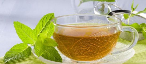 Descubre los beneficios de la menta para tu salud . Descubre los beneficios de la menta para tu salud .