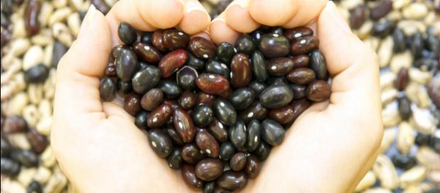 frijoles para la salud - VIX - vix.com frijoles para la salud - VIX - vix.com