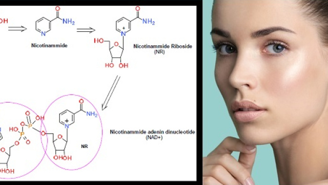 Una integrazione quotidiana di nicotinamide riboside (NR) può portare indietro le lancette dell’orologio dell’organismo