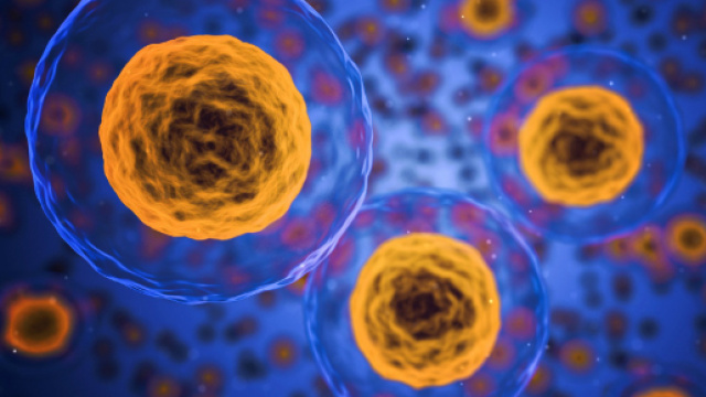 Un neo artificiale per prevenire i tumori