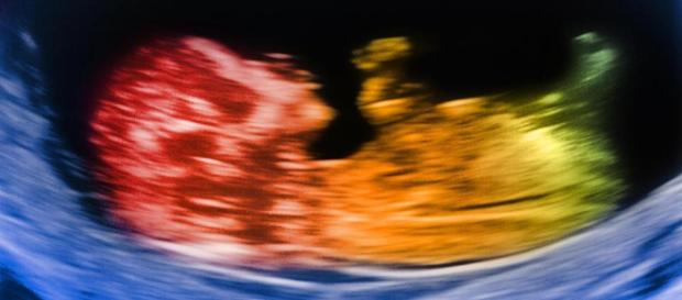 Antes de que eso suceda, los posibles padres influyen en la salud de su hijo. Antes de que eso suceda, los posibles padres influyen en la salud de su hijo.