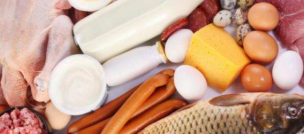 Las proteinas, alimentos de origen animal | CORM Carnes Orgánicas ... - blogspot.com Las proteinas, alimentos de origen animal | CORM Carnes Orgánicas ... - blogspot.com