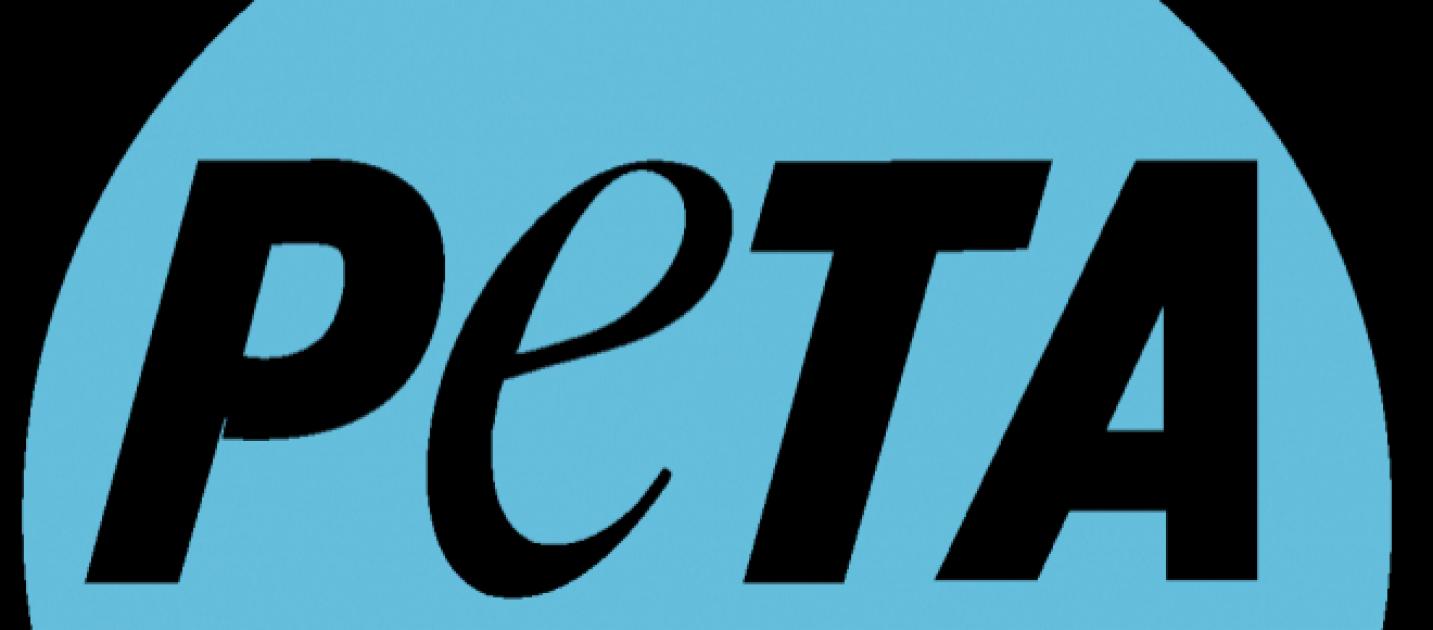 A brief history of the violence of PETA