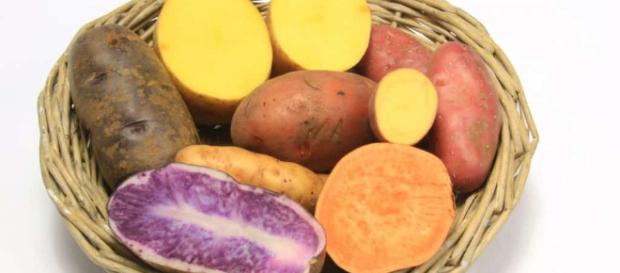 Batatas dulces: beneficios de salud Batatas dulces: beneficios de salud