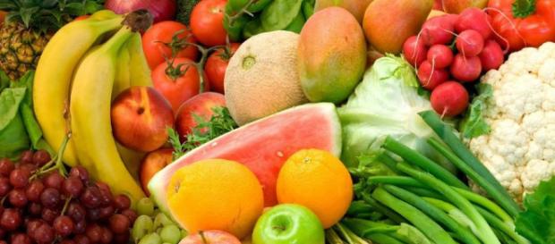 Los fitonutrientes protegen a las plantas de los ataques de insectos Los fitonutrientes protegen a las plantas de los ataques de insectos