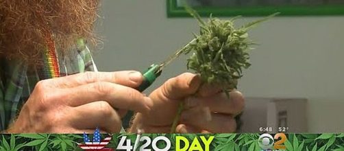 Do you know the origin of 4/20 Day? [Image: CBS Los Angeles/YouTube screenshot]