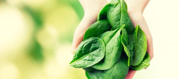 Los beneficios de la vitamina K - sabervivirtv.com Los beneficios de la vitamina K - sabervivirtv.com