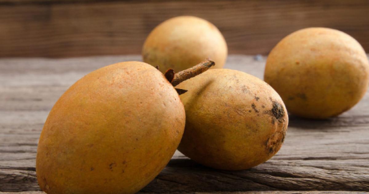 El zapote y sus excelentes usos medicinales