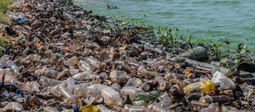 Plastic contamination in Estado Zulia Venezuela, the biggest lake of South America. - [Image credit The Photographer, Wikimedia Commons]