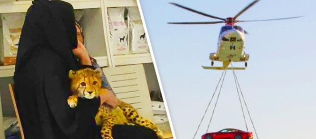 7 coisas incríveis que so acontecem em Dubau 7 coisas incríveis que so acontecem em Dubau