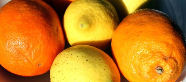 Beneficios y usos de los cítricos. | Notas Naturales - notasnaturales.com Beneficios y usos de los cítricos. | Notas Naturales - notasnaturales.com