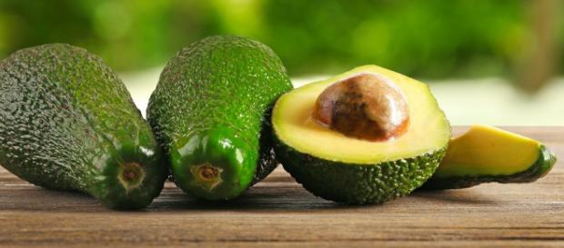 El aguacate, joya de México para el mundo | México Desconocido - com.mx El aguacate, joya de México para el mundo | México Desconocido - com.mx