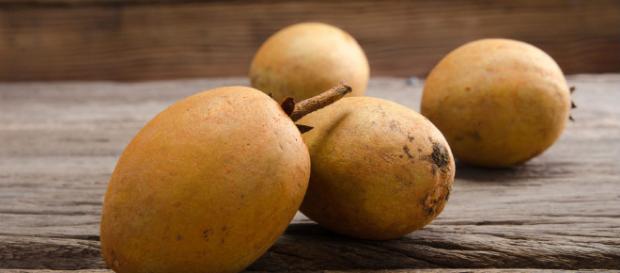Mamey: maravillosa fruta tropical de sabor dulce - Cocina y Vino - cocinayvino.com Mamey: maravillosa fruta tropical de sabor dulce - Cocina y Vino - cocinayvino.com