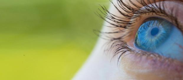 Manten tu vista perfecta. - mercola.com Manten tu vista perfecta. - mercola.com