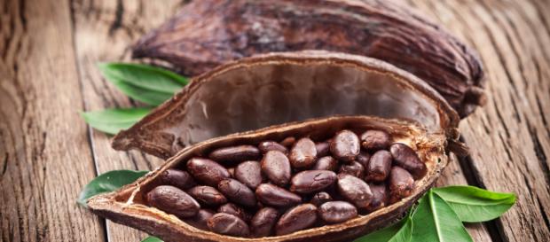 5 Beneficios del Cacao - Salud - Kiwiblog - kiwilimon.com 5 Beneficios del Cacao - Salud - Kiwiblog - kiwilimon.com