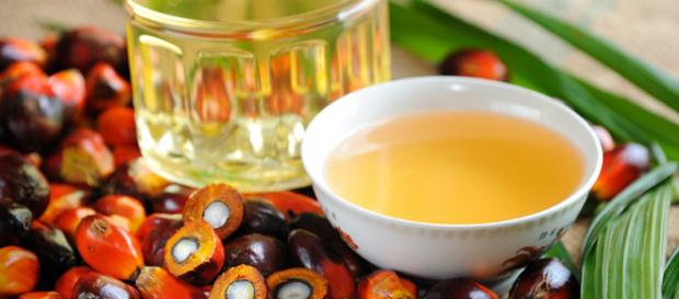 El aceite de palma, ¿es tan peligroso como dicen? - donconsejo.com El aceite de palma, ¿es tan peligroso como dicen? - donconsejo.com