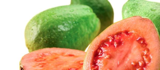 GUAYABA: BENEFICIOS Y PROPIEDADES - complejob.net GUAYABA: BENEFICIOS Y PROPIEDADES - complejob.net