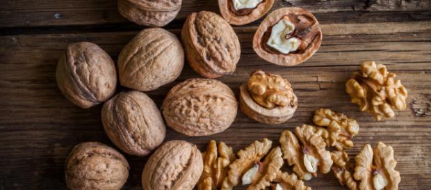 Los 5 tipos de nueces más consumidos en el mundo - animalgourmet.com Los 5 tipos de nueces más consumidos en el mundo - animalgourmet.com