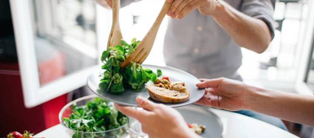 Los humanos no saben diferenciar cuales comidas son saludables o letales a diferencia de los animales Los humanos no saben diferenciar cuales comidas son saludables o letales a diferencia de los animales