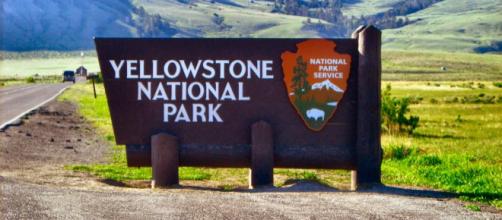 Parco Nazionale di Yellowstone