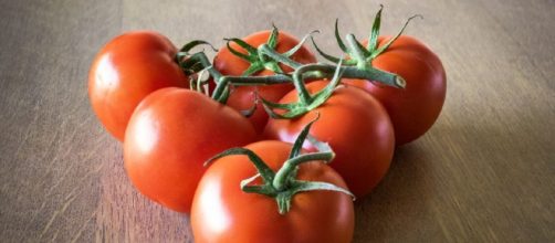 7 ventajas de comer tomates para tu organismo - ticbeat.com