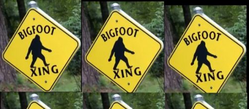 Bigfoot spotted in New Jersey. [image source: ExMag - YouTube]