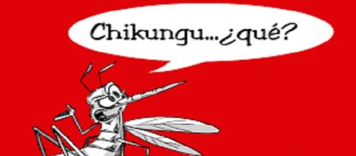 ¡No es una película de terror, son las secuelas del chikungunya!
