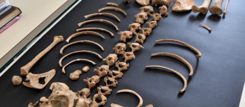 Parco Archeologico di Pompei, trovato lo scheletro di un bambino negli scavi