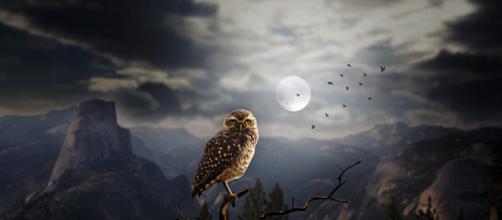 Oroscopo di domani 4 maggio 2018: cosa regalerà la nuova Luna in Capricorno? In primo piano l'arrivo del famigerato 'venerdì nero'