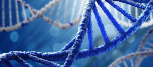 Scoperta una nuova struttura del Dna: la struttura a quattro eliche