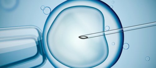 ¿Nos hallamos en plena "embriología sintética"?