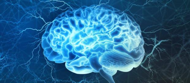 Corteza prefrontal, una de las partes más interesantes del cerebro - lamenteesmaravillosa.com Corteza prefrontal, una de las partes más interesantes del cerebro - lamenteesmaravillosa.com