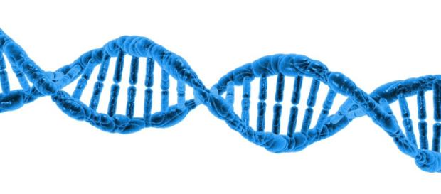 Cuántas mutaciones hacen falta para que se desarrolle un cáncer? - noticiasalud.com Cuántas mutaciones hacen falta para que se desarrolle un cáncer? - noticiasalud.com