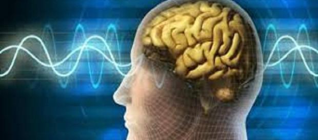 ¿Sabías que escuchar reggaeton te puede causar daño cerebral? ¿Sabías que escuchar reggaeton te puede causar daño cerebral?