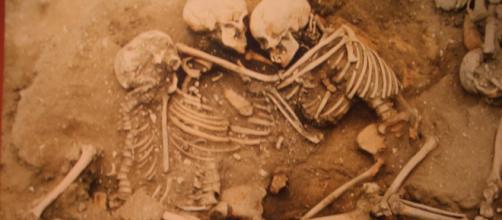 140 skeletons found in northern Peru. - [Image Credit: Michael Tyler via Flickr]