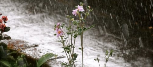 La pioggia rovinerò il ponte del primo maggio