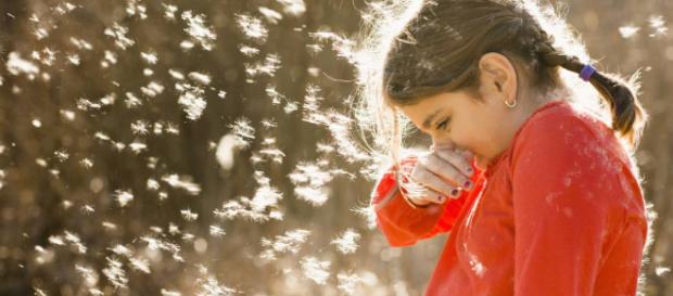 Alergias: Llega la primavera ¡Cómo me pica la nariz! | Mamás y elpais.com Alergias: Llega la primavera ¡Cómo me pica la nariz! | Mamás y elpais.com