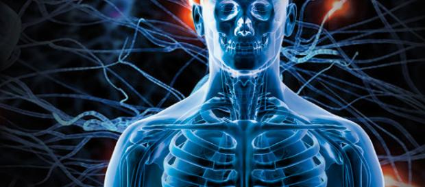La importancia del segundo cerebro — DSalud - dsalud.com La importancia del segundo cerebro — DSalud - dsalud.com
