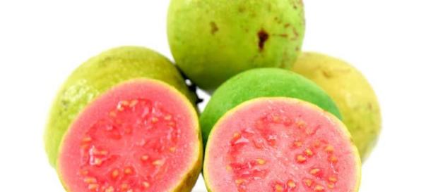 LOS BENEFICIOS DE LA GUAYABA PARA LA SALUD LOS BENEFICIOS DE LA GUAYABA PARA LA SALUD