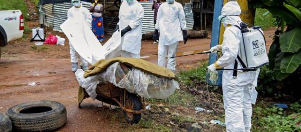 Nigeria declara el estado de emergencia por el brote de ébola - lavozdegalicia.es Nigeria declara el estado de emergencia por el brote de ébola - lavozdegalicia.es
