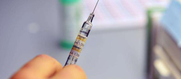 Zika pode tratar câncer cerebral, sugere estudo. Zika pode tratar câncer cerebral, sugere estudo.