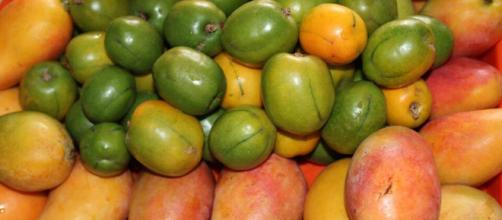Frutas Cubanas | FRUTIMANIA!!! | Pinterest | Cubanas, Fruta y Ciruelas - pinterest.es