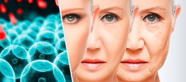 antidoto del envejecimiento - - mejorconsalud.com antidoto del envejecimiento - - mejorconsalud.com