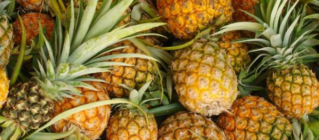 ¿Cómo elegir una buena piña? - Colaboracion cientifica - colaboracioncientifica.es ¿Cómo elegir una buena piña? - Colaboracion cientifica - colaboracioncientifica.es
