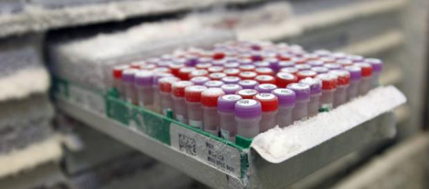 El experimento del científico que inyecta ADN El experimento del científico que inyecta ADN