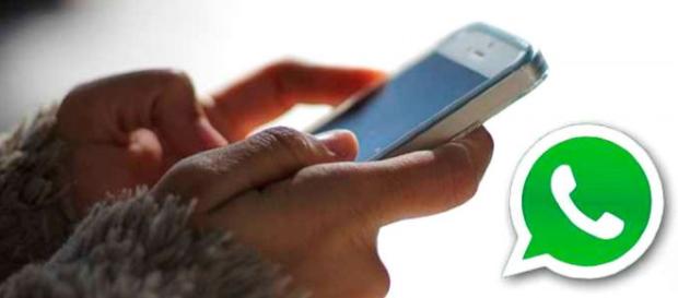 Evite que WhatsApp descargue contenidos molestos. Evite que WhatsApp descargue contenidos molestos.