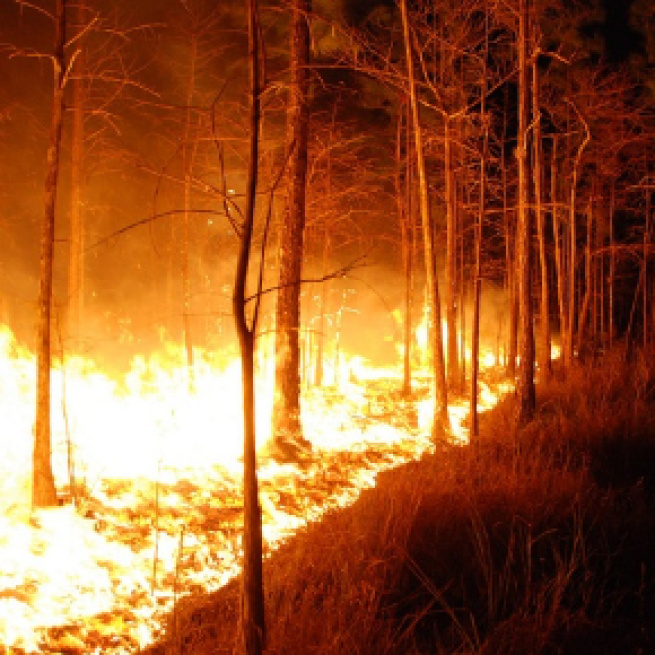 Wildfires threatens more than 500 homes in Arizona - U.S. Fish and Wildlife Service | Flickr