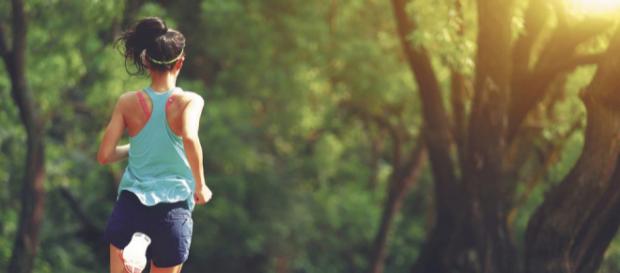 El Cardio: conoce qué ejercicios te ayudan a quemar calorías El Cardio: conoce qué ejercicios te ayudan a quemar calorías